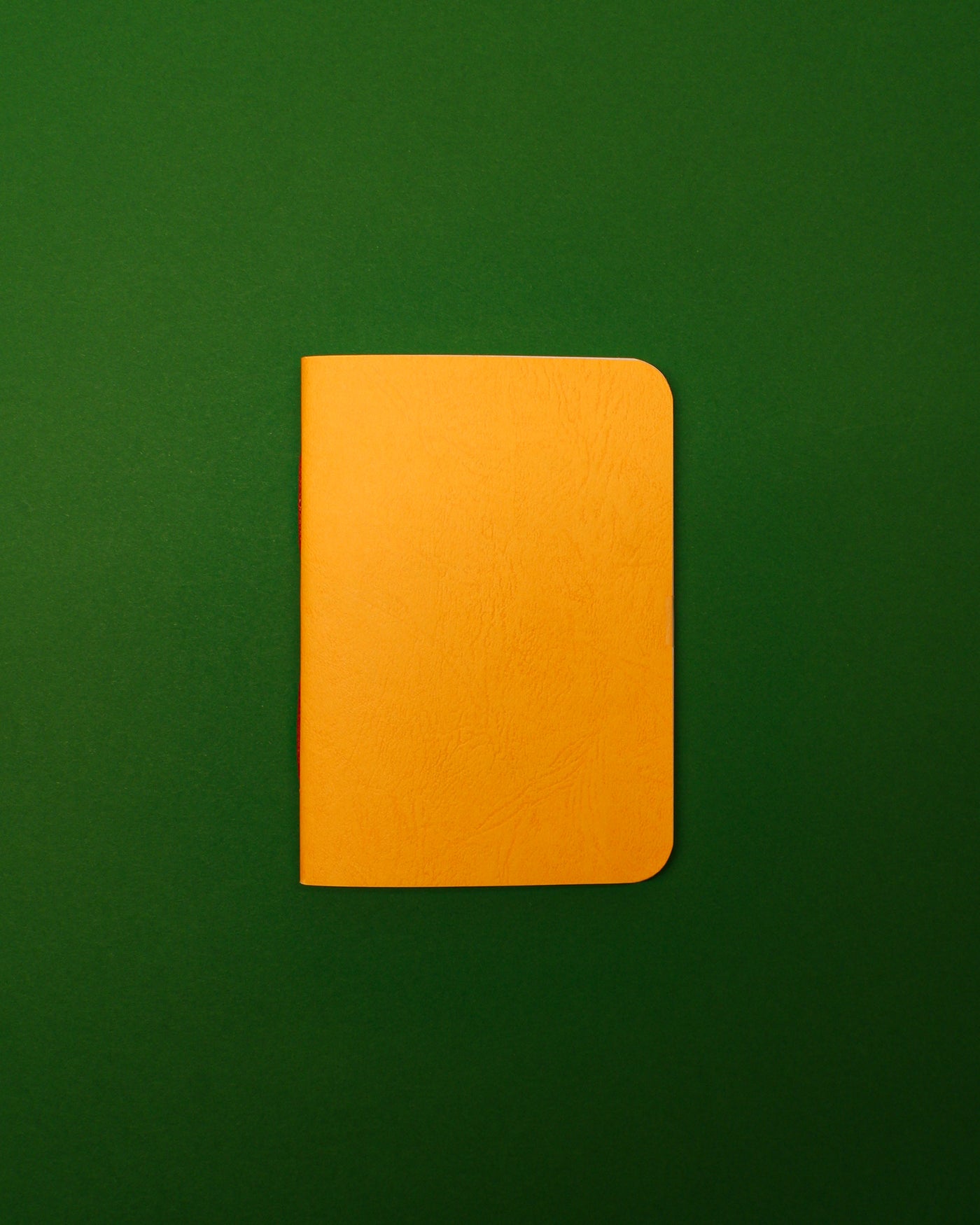 Mango — Ripe A6