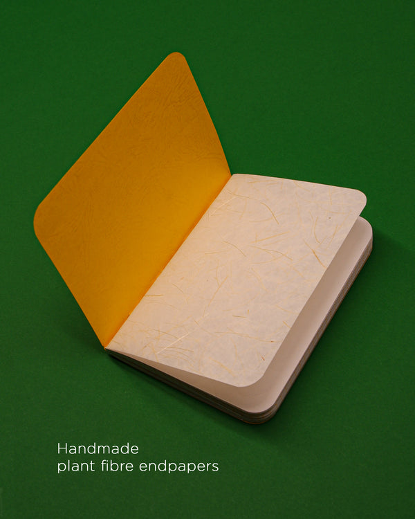 Mango — Ripe A6