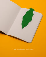Mango — Raw A5