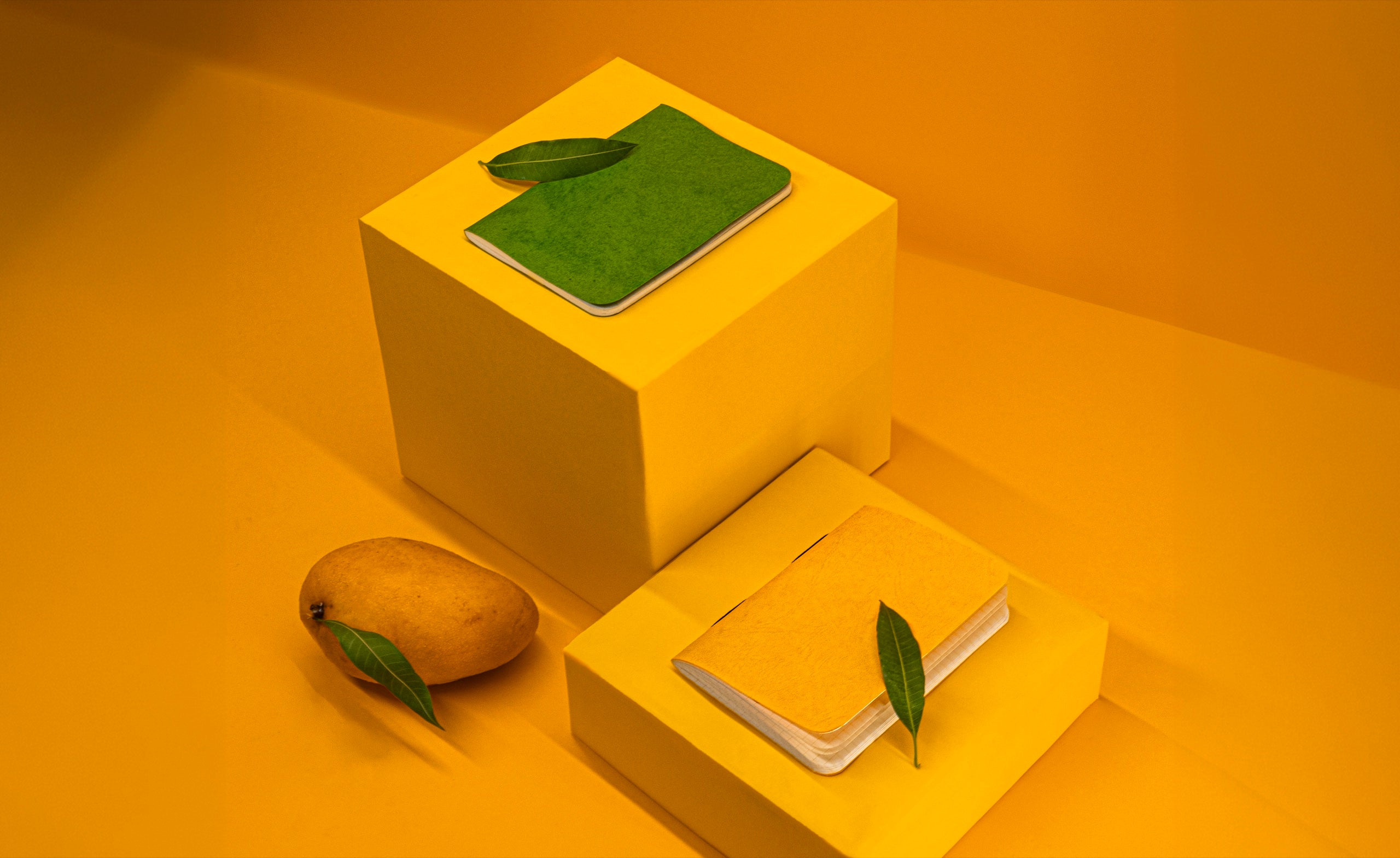 Mango Edition
